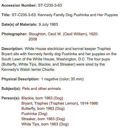 Screen Shot 2015-07-17 at 7.51.13 PM