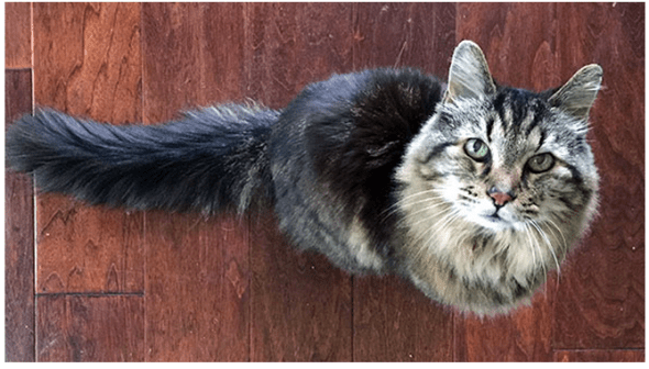 Screen Shot 2015-08-14 at 10.01.23 PM