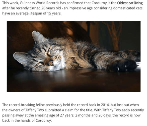 Screen Shot 2015-08-14 at 10.01.32 PM