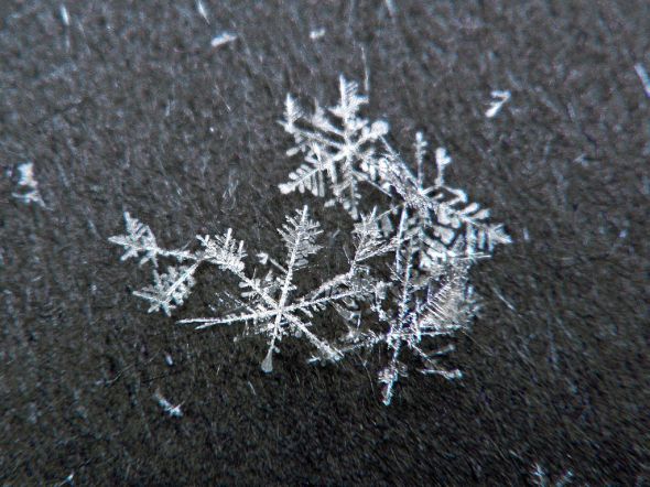 snowflake