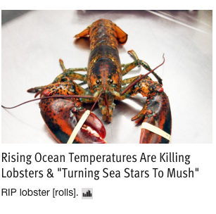 Screen Shot 2016-02-19 at 10.37.45 AM