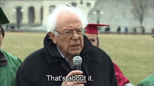 bernie gif