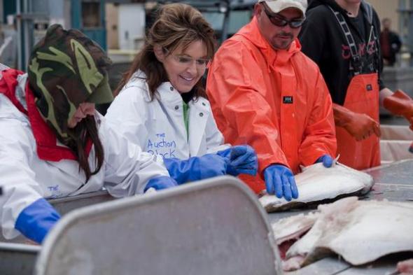 HOMER, ALASKA, AUGUST 06 2010: The day after she went fishing on the halibut boat Bear, Sarah Palin helps sort out the fish on the docks in Homer, the world's halibut fishing capital, from where it will be taken to a local fish processing plant (photo Gilles Mingasson/Getty Images).