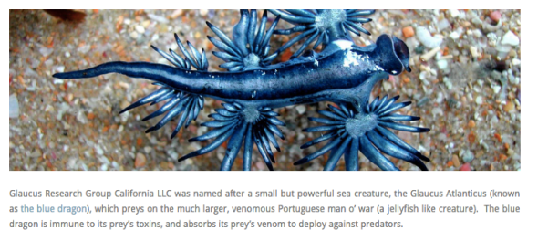 screen-shot-2016-09-28-at-11-00-49-pm