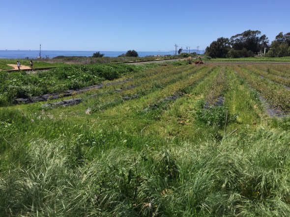 cbe3bd94-0285-4706-94e0-42de073c4904