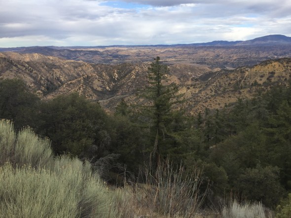 Much boring stuff as well. 