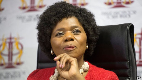 public-protector