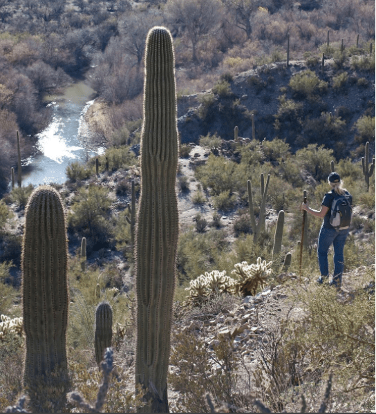 screen-shot-2017-01-31-at-11-00-41-pm