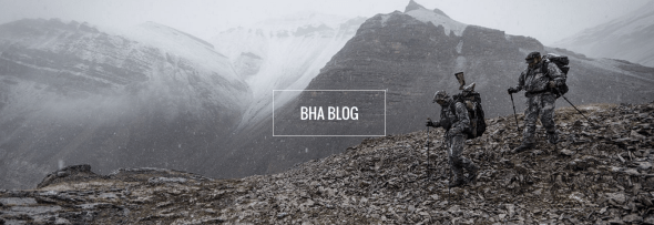 screen-shot-2017-02-02-at-1-22-06-pm