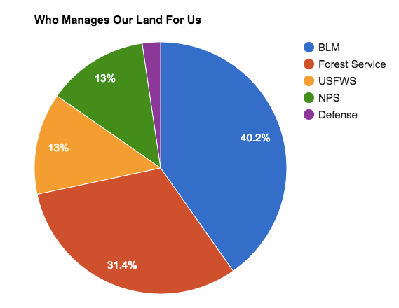 screen-shot-2017-02-11-at-2-15-40-am