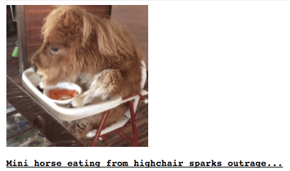 screen-shot-2017-02-22-at-4-38-41-pm